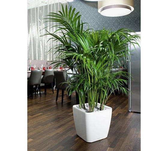 Кашпо Lechuza Quadro LS Complete Белый блестящий 43x43xH39 см 16180