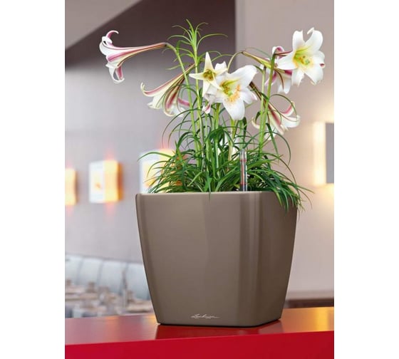 Кашпо Lechuza Quadro LS Complete Антрацитовый металлик 35x35xH32.5 см 16163