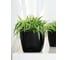 Кашпо Lechuza Quadro LS Complete Серебристый металлик 21x21xH20.5 см 16128 7