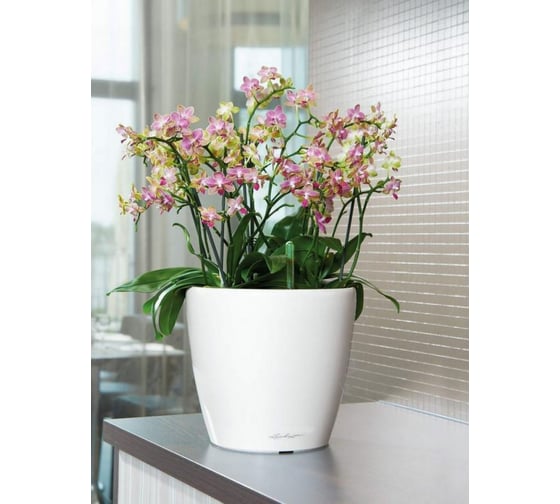 Кашпо Lechuza Classico LS Complete Белый блестящий D36xH32.5 см 16060