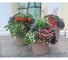 Кашпо Ola Dom LOFT пластик, 28 л, терракот, d395 cm, d395 cm, h345 мм 071229 3