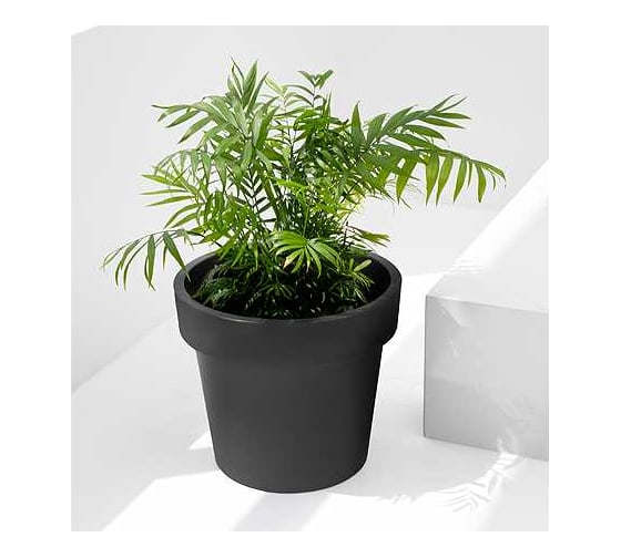 Кашпо Ola Dom LOFT пластик, 95 л, антрацит, d590 cm, d590 cm, h520 мм 071236