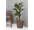Кашпо Ola Dom LOFT пластик, 95 л, мокко, d590 cm, d590 cm, h520 мм 071238 2