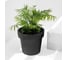 Кашпо Ola Dom LOFT пластик, 50 л, антрацит, d477 cm, d477 cm, h415 мм 071232 2