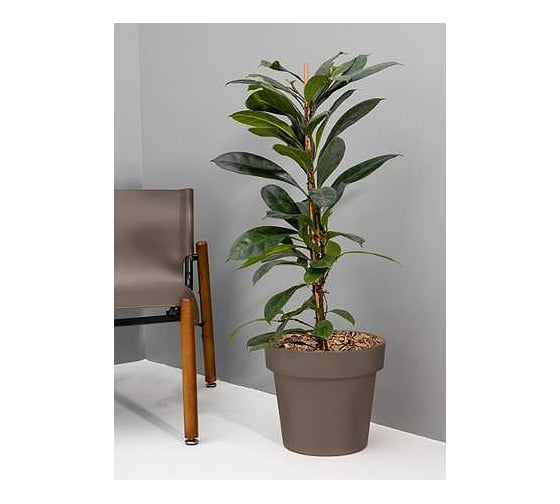 Кашпо Ola Dom LOFT пластик, 50 л, мокко, d477 cm, d477 cm, h415 мм 071234