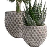 Кашпо SCHEURICH 586070 керамика Rora d 115 мм h 10 см, серый 072222