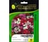 Гвоздика бородатая (турецкая) ELITE PLANT-BREEDING & SEED PRODUCTION Co. Идеал Селект МИКС 30 шт ЭС мини 1070016630 1