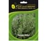 Тибул семена тимьяна овощного 10 г ЭС мини ELITE PLANT-BREEDING & SEED PRODUCTION Co. 1026995233 1