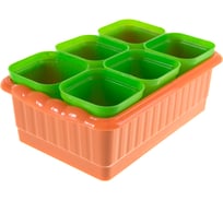 Рассадник на 6 стаканчиков Радиан Дом и Дача 250 мл, 247х166х90 4607168314701