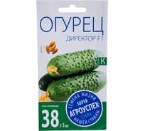 Семена Агроуспех огурец Директор F1 7 шт. 59851