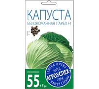 Семена Агроуспех Капуста белокочанная Парел F1 10 шт. 32641