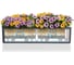 Кашпо Lechuza Balconera Color Complete Мускатный 80 см 15684 5