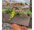 Кашпо Lechuza Balconera Color Complete Мускатный 50 см 15674 7