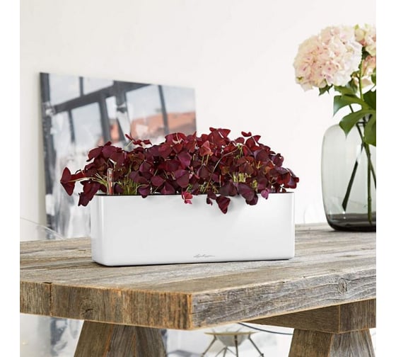 Кашпо Lechuza Cube Glossy Triple Белый блестящий 40x14xH13.5 см 13670