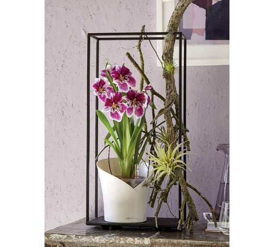 Кашпо Lechuza Orchidea Complete Белый матовый 18х18х20 см 13960
