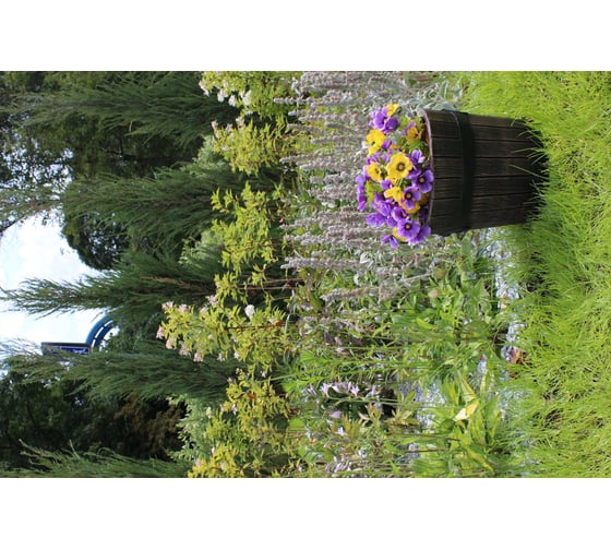Горшок под дерево Roto Planter POLKA S 6689