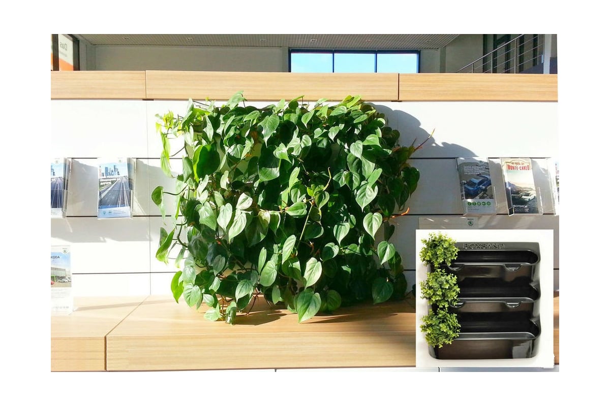 Фитомодуль открытого типа BOXSAND 12, черный 7003 –BOXSAND - выгодная ...