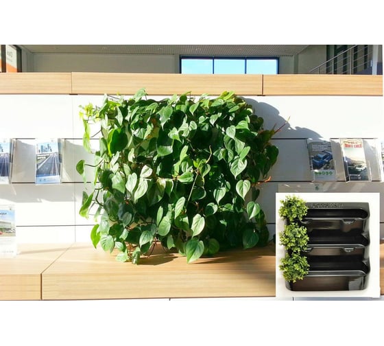 Фитомодуль открытого типа BOXSAND 12, черный 7003 –BOXSAND