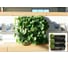 Фитомодуль открытого типа BOXSAND 12, черный 7003 –BOXSAND 5