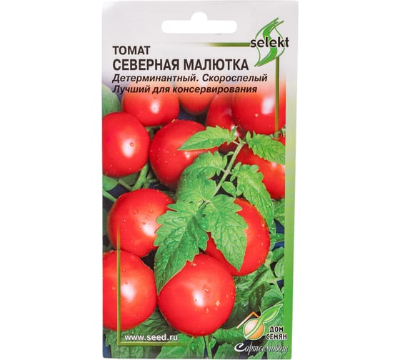 Томат Дом Семян Северная малютка 16130