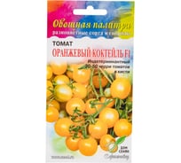 Томат Дом Семян Оранжевый коктейль F1 16535