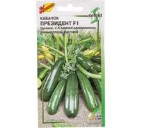 Кабачок Дом Семян Президент 1 15590