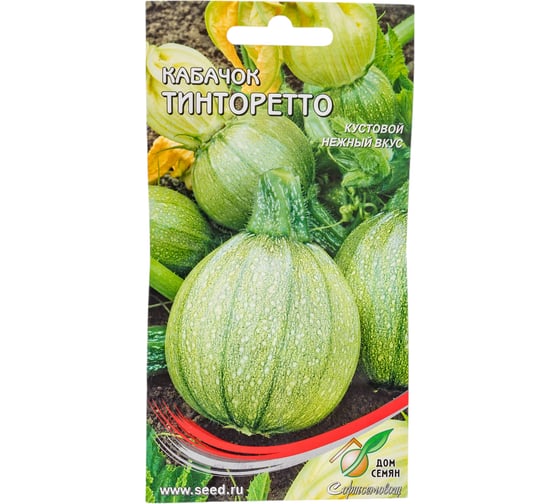 Кабачок Дом Семян Тинторетто 15513 1