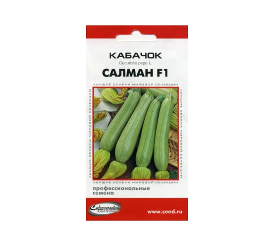 Кабачок Дом Семян Салман F1 15509 1