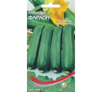 Кабачок Дом Семян Фараон 15532