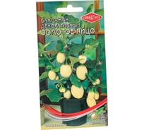 Баклажан комнатный Дом Семян золотое яйцо 50445