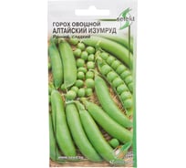 Горох овощной Дом Семян  Алтайский Изумруд 19012