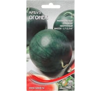 Арбуз Дом Семян Огонёк 15821