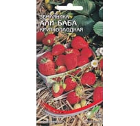 Земляника крупноплодная Дом Семян Али-Баба 80006