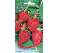 Земляника Дом Семян Руяна 80004