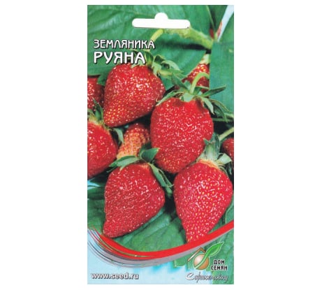 Земляника Дом Семян Руяна 80004
