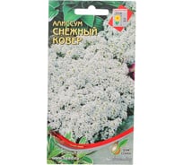 Алиссум Дом Семян Снежный ковер 41443