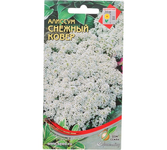 Алиссум Дом Семян Снежный ковер 41443
