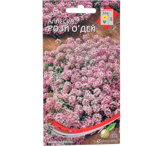 Алиссум Дом Семян Рози О,Дей 41448 1