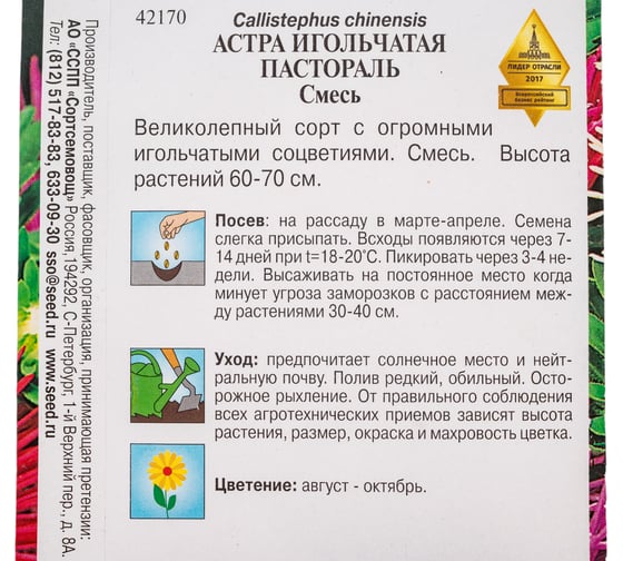 Астра игольчатая Дом Семян Пастораль 42170