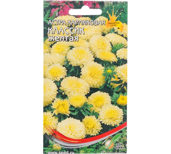 Астра карликовая Дом Семян Классик желтая 42204 1