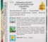 Астра игольчатая Дом Семян Хабанера смесь 42171 3