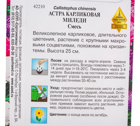 Астра карликовая Дом Семян Миледи смесь 42210