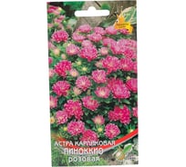 Астра карликовая Дом Семян Пиноккио розовая 42216
