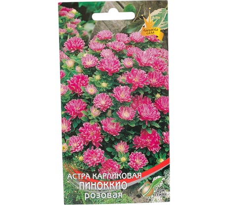 Астра карликовая Дом Семян Пиноккио розовая 42216