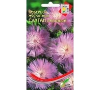 Амбербоа мускатный Дом Семян Султан, лиловый 41646