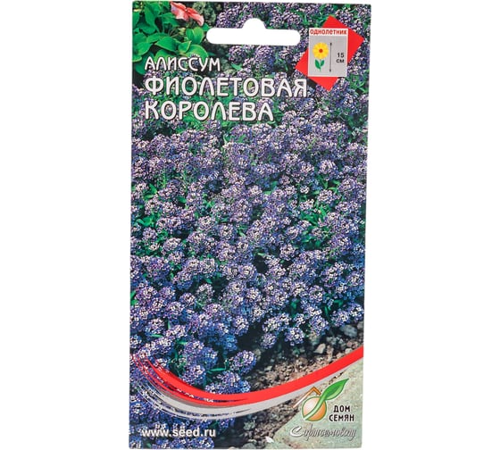 Алиссум Дом Семян Фиолетовая королева 41450 1