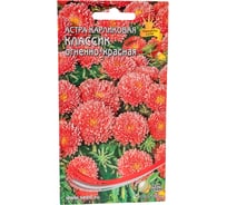 Астра карликовая Дом Семян Классик огненно -красная 42203