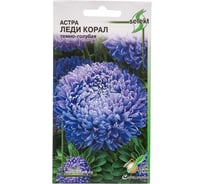 Астра Дом Семян Леди Корал темно-голубая 42191