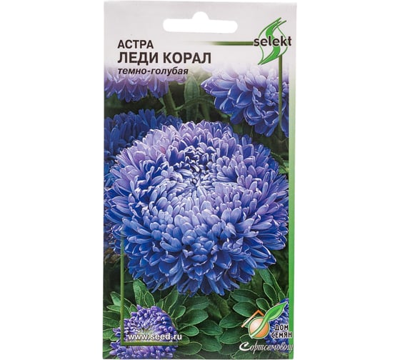 Астра Дом Семян Леди Корал темно-голубая 42191 1
