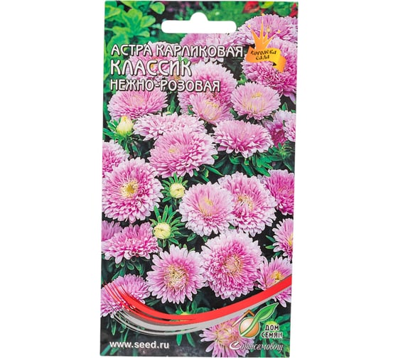 Астра карликовая Дом Семян Классик нежно-розовая 42208 1